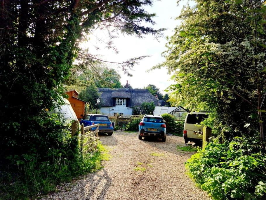 Piddle Puddle Cabin Dorchester Kültér fotó